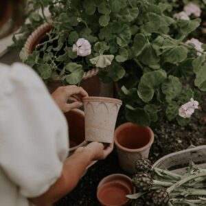 Bergs Potter plant pot met schaal Elizabeth Ø12 cm - Rosa Terracotta