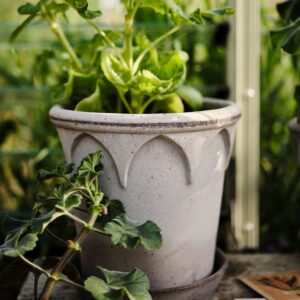 Bergs Potter plant pot met schaal Elizabeth Ø18 cm - Grey Terracotta