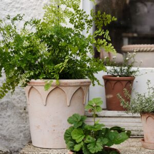 Bergs Potter Plant Pot met Schaal Elizabeth Ø25 cm - Rosa Terracotta