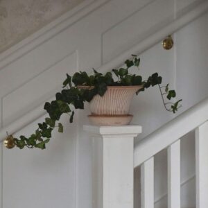 Bergs Potter plant pot met schaal Daisy Ø25 cm – Rosa Terracotta